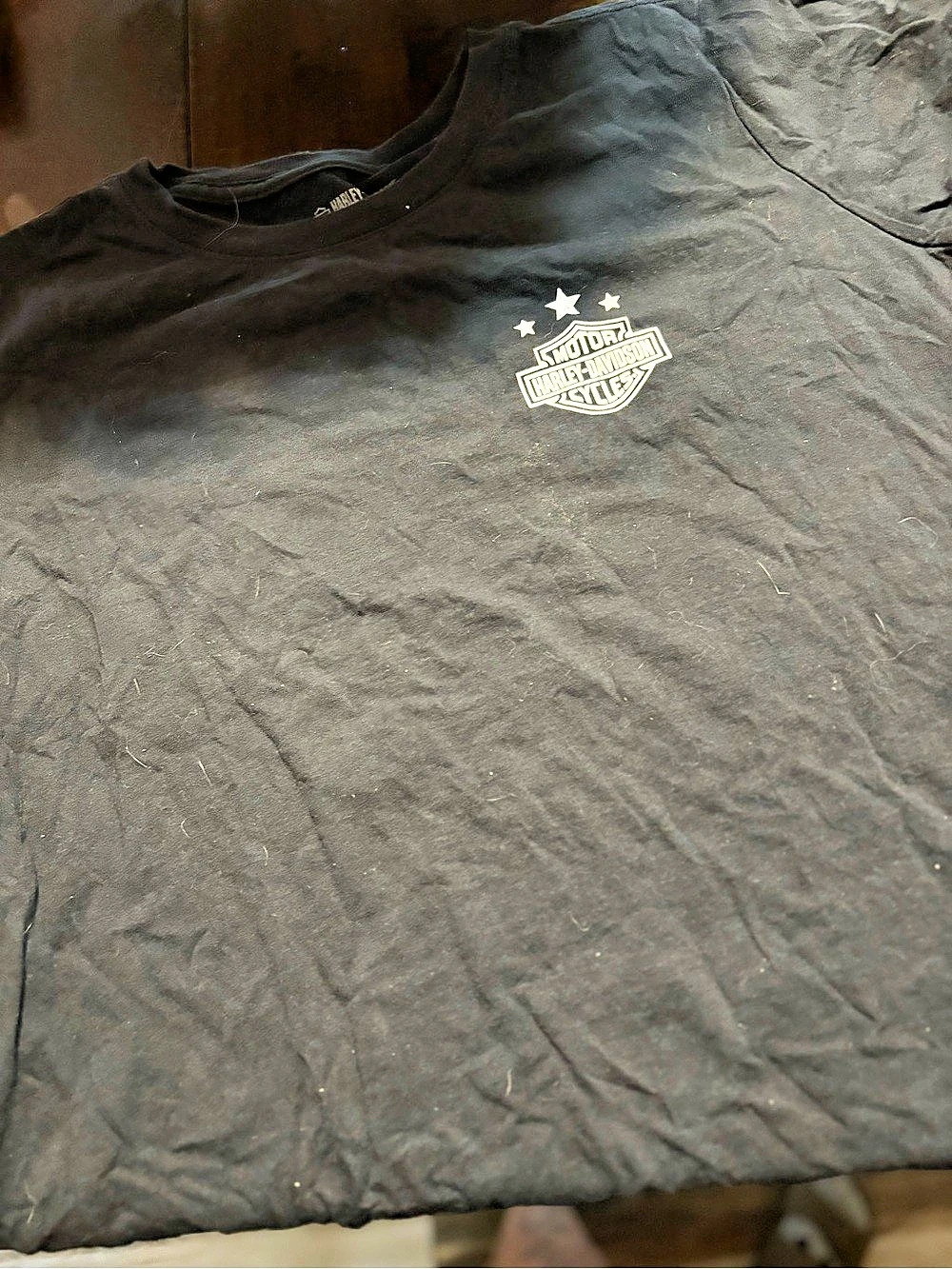 Harley-Davidson Graphic Tee in Black